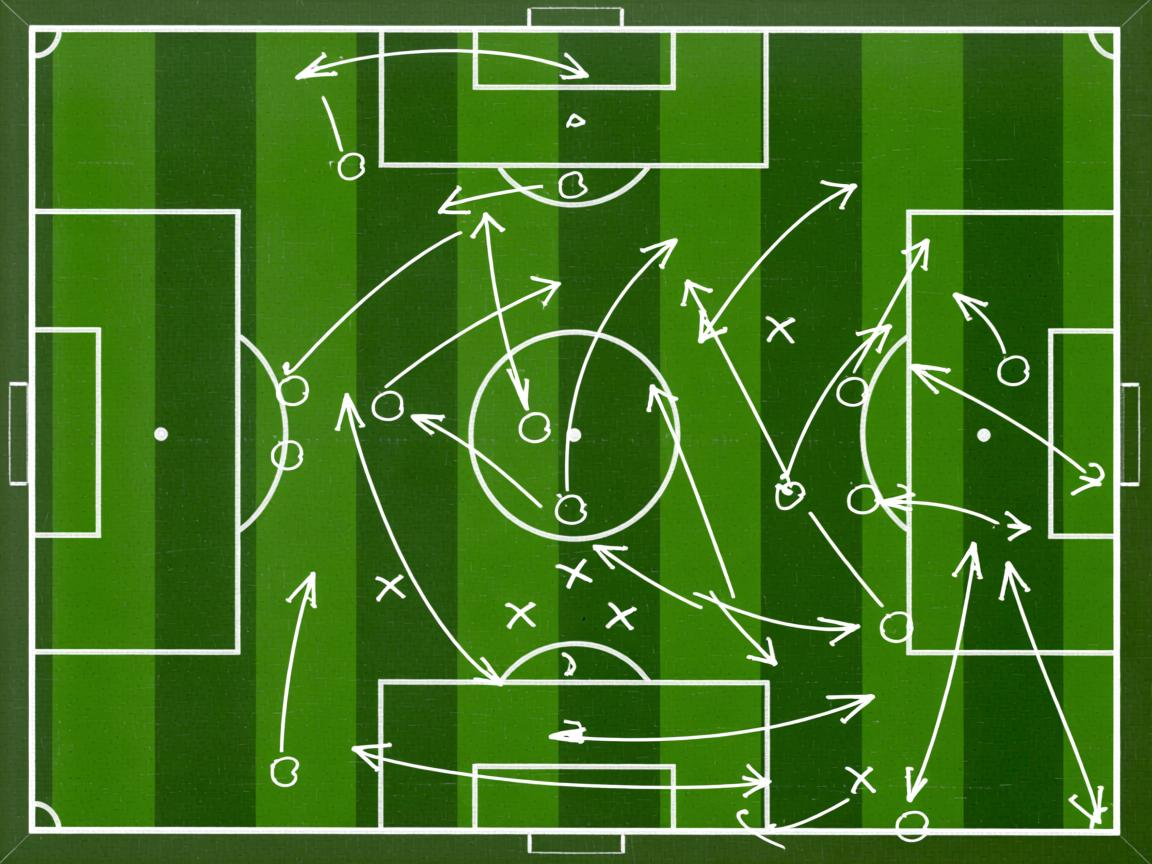 开云体育app官网-200蝶节奏曲线首次公开  第2张