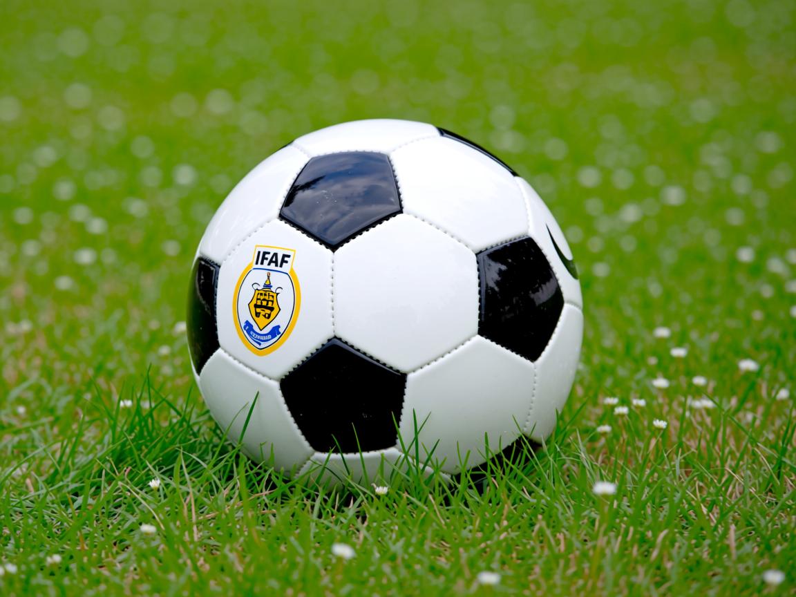 开云在线入口-仰泳项目发挥稳定 获铜收官，仰泳示范  第2张