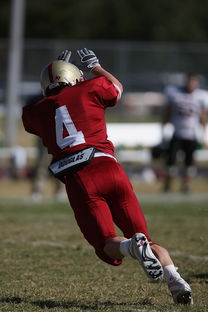 开云体育下载-五大联赛中下游球队是否易受心理波动影响表现,5大联赛球队 第2张